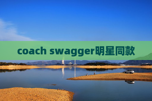 coach swagger明星同款
